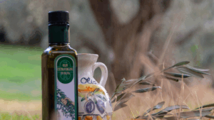 olio basilicata campagna 2025 frantoio oleario colangelo